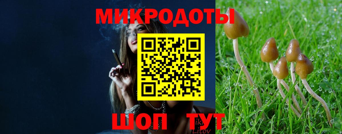 цена наркотик  Галлюциногенные грибы ЛСД  Вход с VPN  Воронеж  Галлюциногенные грибы MAGIC MUSHROOMS 